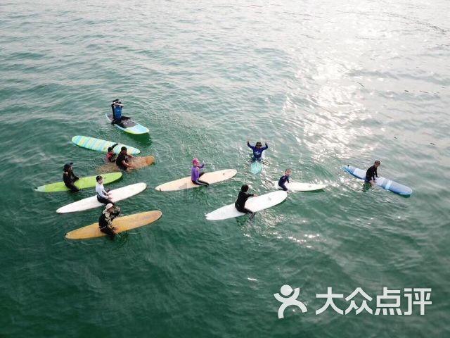 逃离棕榈树森林