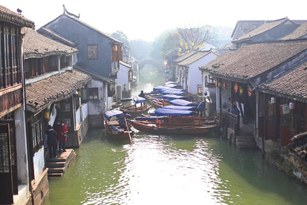 救援紫色生物